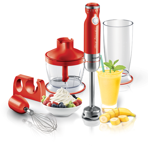 SHB 4364RD Mixeur plongeant